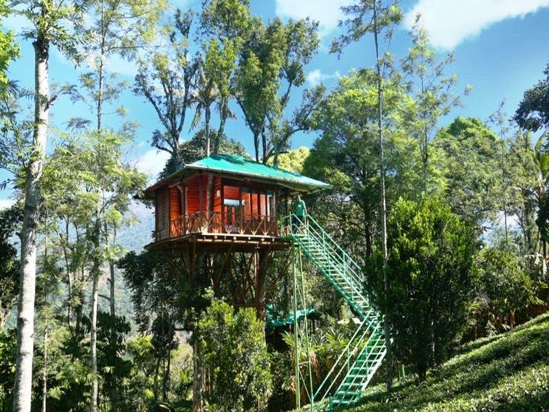 Dream Catcher Resort Munnar Exterior photo