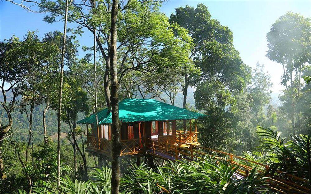 Dream Catcher Resort Munnar Exterior photo
