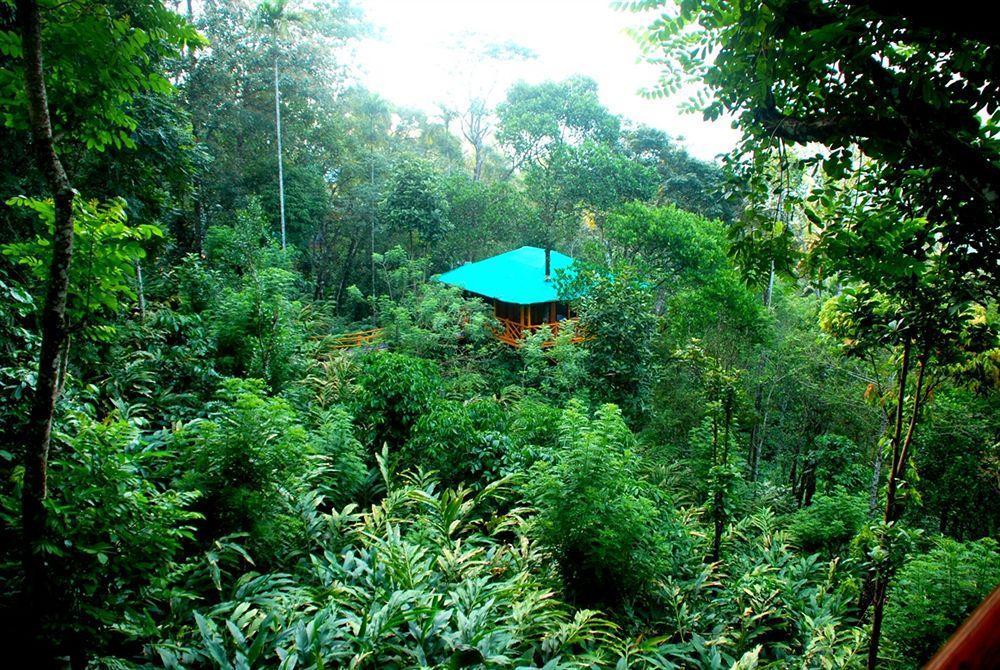 Dream Catcher Resort Munnar Exterior photo