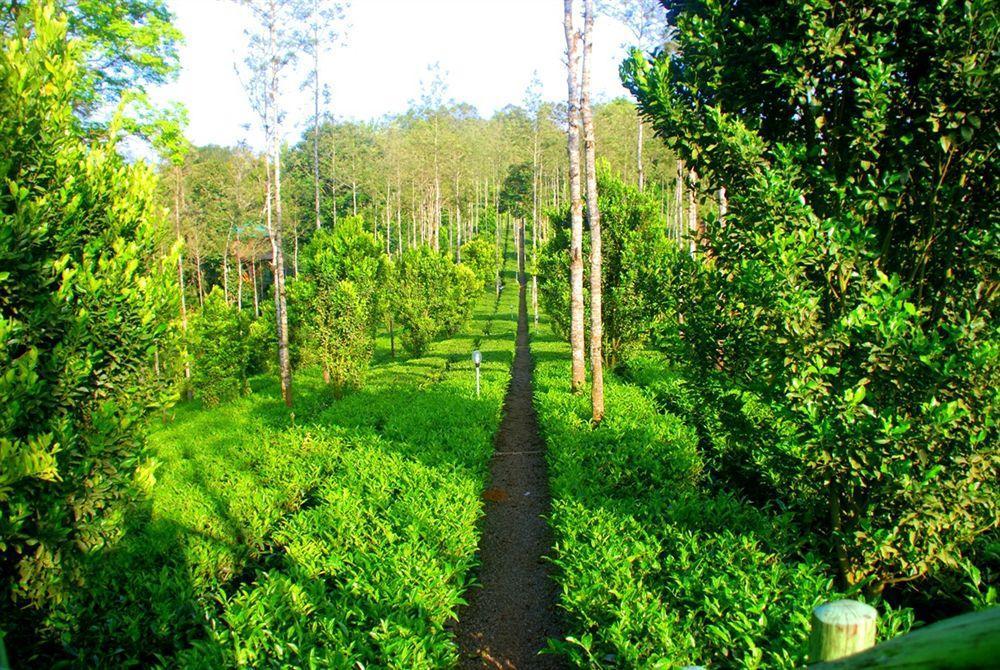 Dream Catcher Resort Munnar Exterior photo