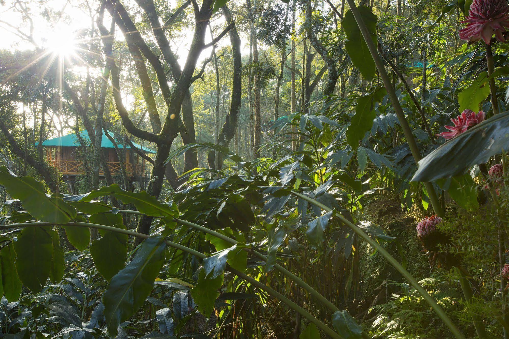 Dream Catcher Resort Munnar Exterior photo