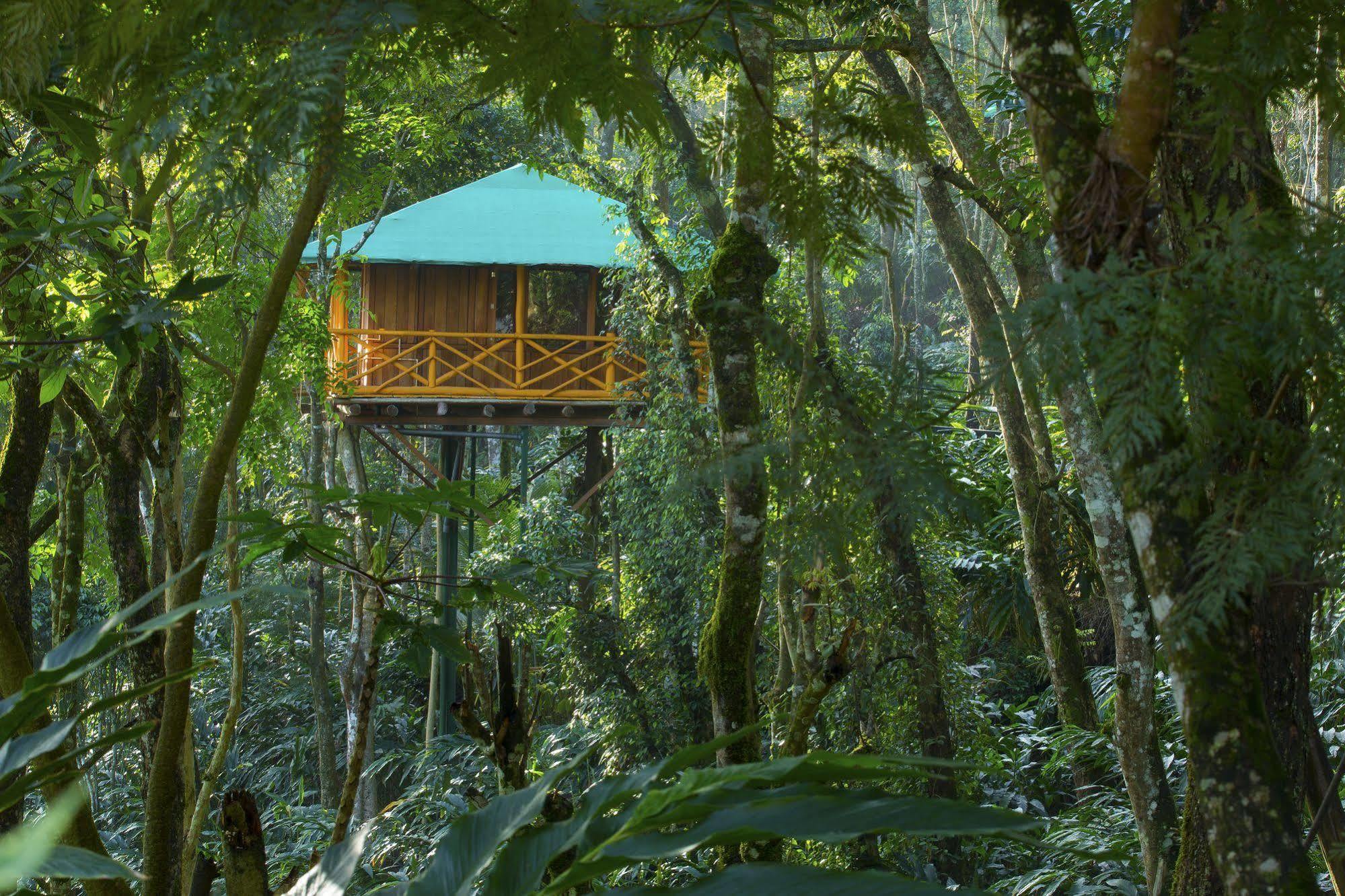 Dream Catcher Resort Munnar Exterior photo